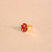 Load image into Gallery viewer, Anillos con flores naturales. Producto 100% hecho a mano. Una joya de la flora colombiana.
