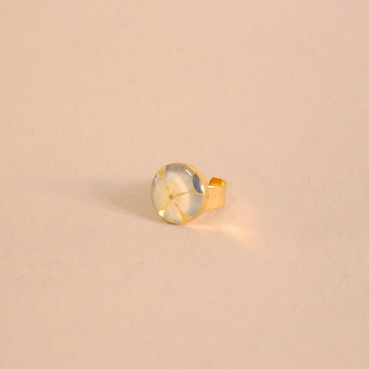 Anillos con flores naturales. Producto 100% hecho a mano. Una joya de la flora colombiana.
