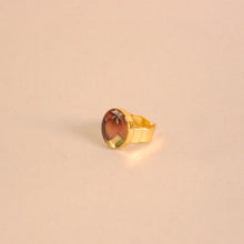 Load image into Gallery viewer, Anillos con flores naturales. Producto 100% hecho a mano. Una joya de la flora colombiana.
